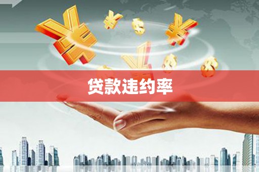 阳江贷款违约率