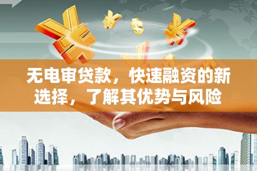 阳江无电审贷款，快速融资的新选择，了解其优势与风险