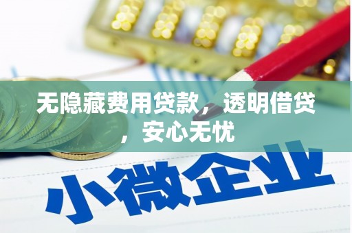 阳江无隐藏费用贷款，透明借贷，安心无忧