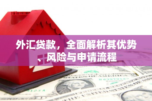 阳江外汇贷款，全面解析其优势、风险与申请流程