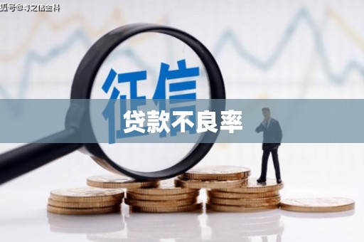 阳江贷款不良率