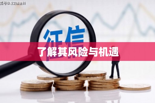 阳江了解其风险与机遇