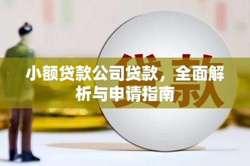 阳江小额贷款公司贷款，全面解析与申请指南
