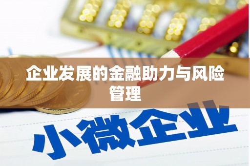 阳江企业发展的金融助力与风险管理
