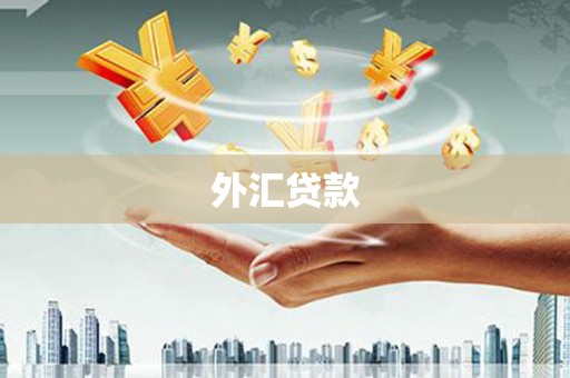 阳江外汇贷款