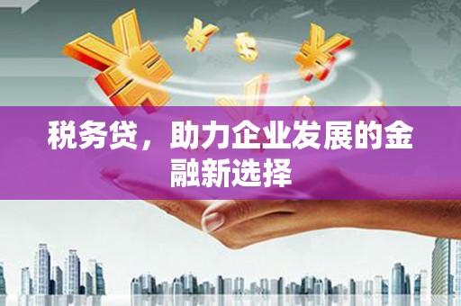 阳江税务贷，助力企业发展的金融新选择