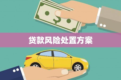 阳江贷款风险处置方案