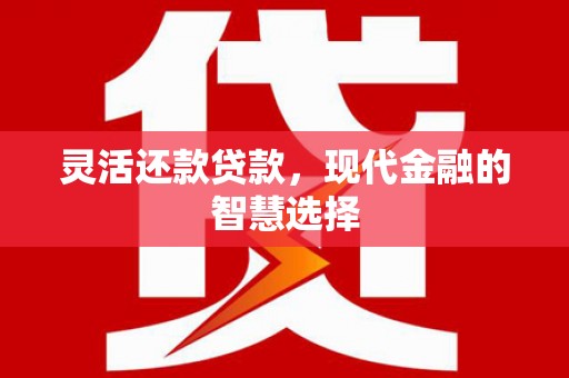 阳江灵活还款贷款，现代金融的智慧选择