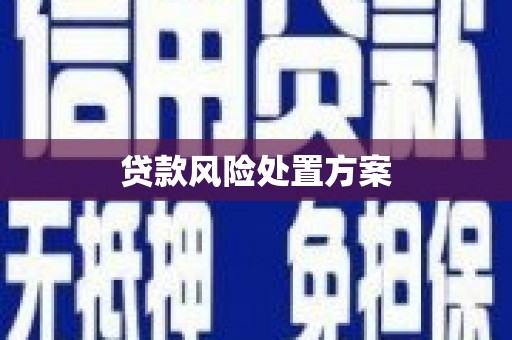 阳江贷款风险处置方案