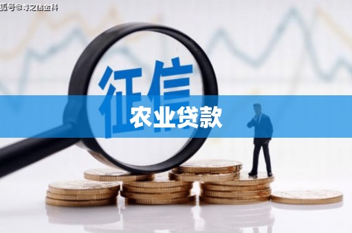 阳江农业贷款