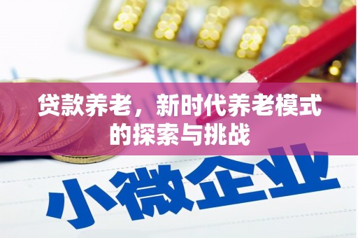 阳江贷款养老，新时代养老模式的探索与挑战