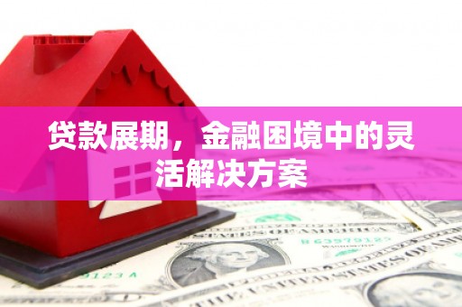 阳江贷款展期，金融困境中的灵活解决方案