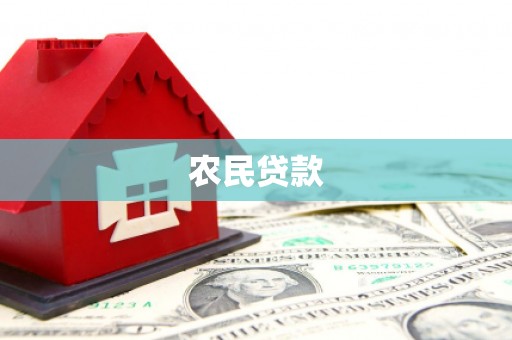 阳江农民贷款