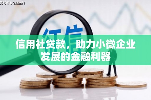 阳江信用社贷款，助力小微企业发展的金融利器