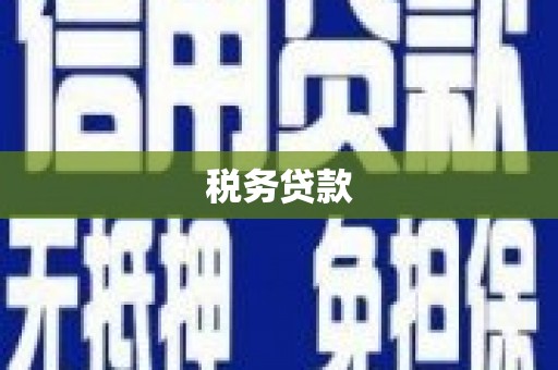 阳江税务贷款