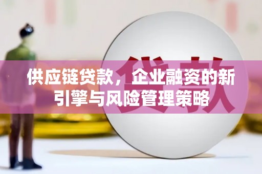 阳江供应链贷款，企业融资的新引擎与风险管理策略