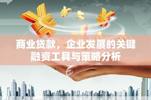 阳江商业贷款，企业发展的关键融资工具与策略分析