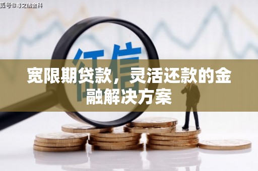 阳江宽限期贷款，灵活还款的金融解决方案