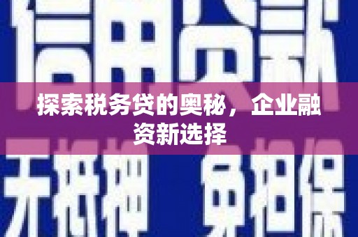 阳江探索税务贷的奥秘，企业融资新选择