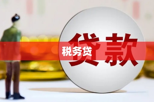 阳江税务贷