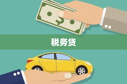 阳江税务贷