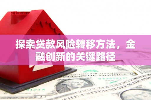 阳江探索贷款风险转移方法，金融创新的关键路径
