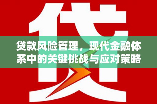 阳江贷款风险管理，现代金融体系中的关键挑战与应对策略