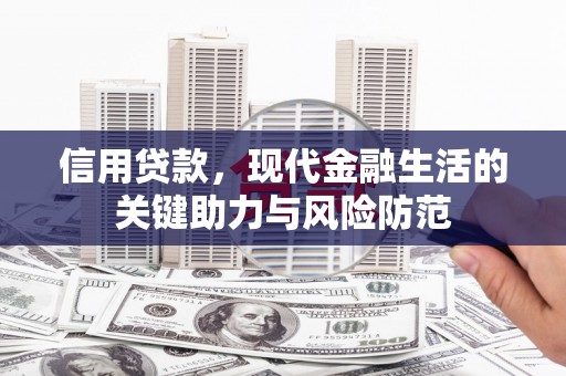 阳江信用贷款，现代金融生活的关键助力与风险防范