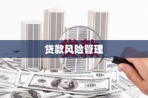 阳江贷款风险管理