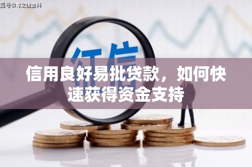 阳江信用良好易批贷款，如何快速获得资金支持