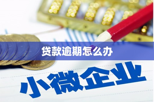 阳江贷款逾期怎么办