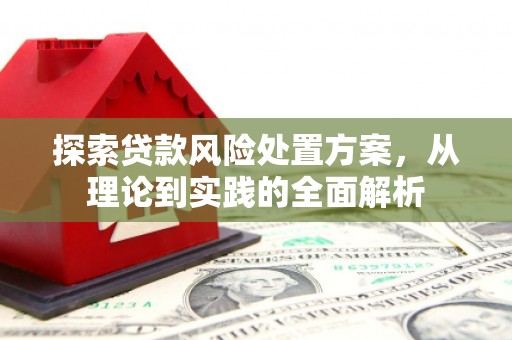 阳江探索贷款风险处置方案，从理论到实践的全面解析
