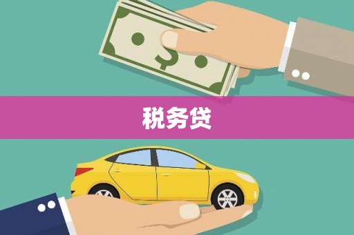 阳江税务贷
