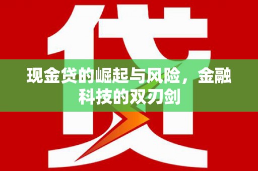 阳江现金贷的崛起与风险，金融科技的双刃剑