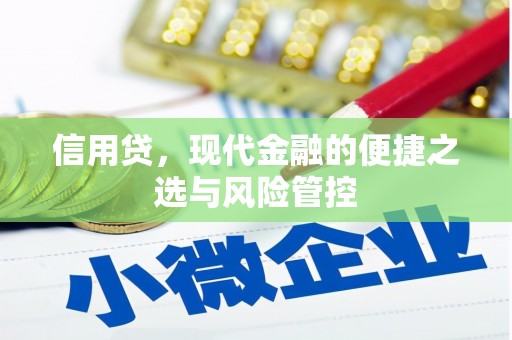 阳江信用贷，现代金融的便捷之选与风险管控