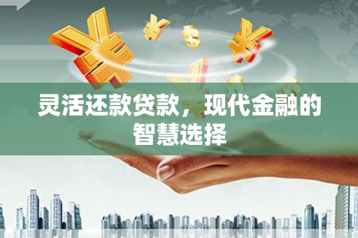 阳江灵活还款贷款，现代金融的智慧选择