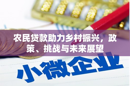 阳江农民贷款助力乡村振兴，政策、挑战与未来展望