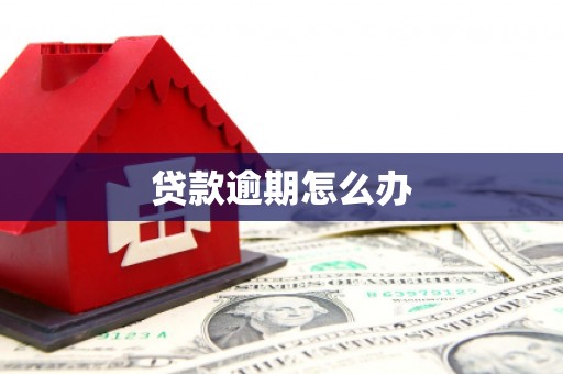 阳江贷款逾期怎么办