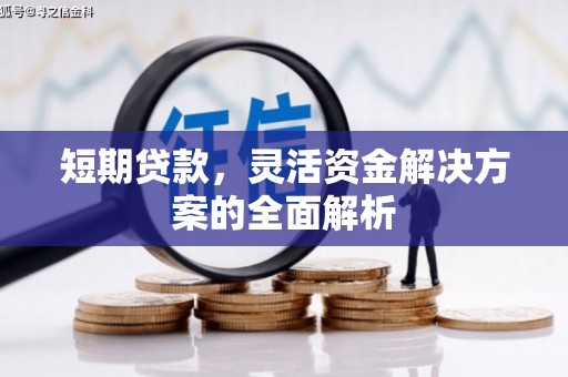 阳江短期贷款，灵活资金解决方案的全面解析
