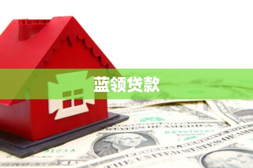 阳江蓝领贷款