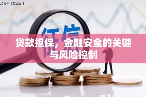 阳江贷款担保，金融安全的关键与风险控制