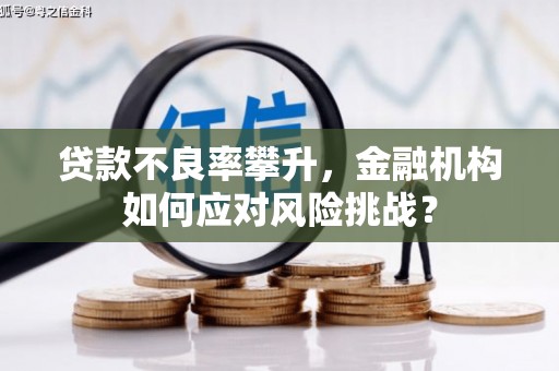 阳江贷款不良率攀升，金融机构如何应对风险挑战？