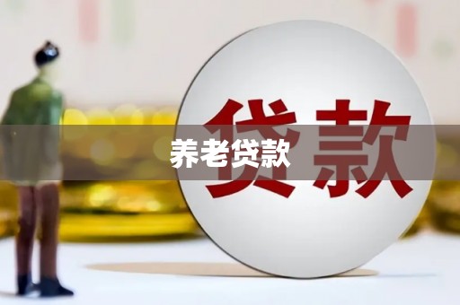 阳江养老贷款