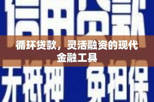 阳江循环贷款，灵活融资的现代金融工具