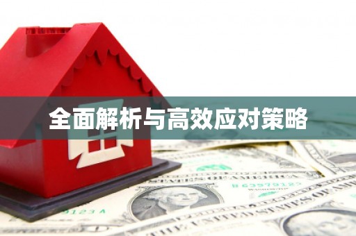 阳江全面解析与高效应对策略